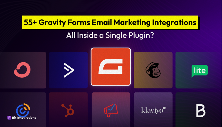 Gravity Forms Email Marketing Integrations